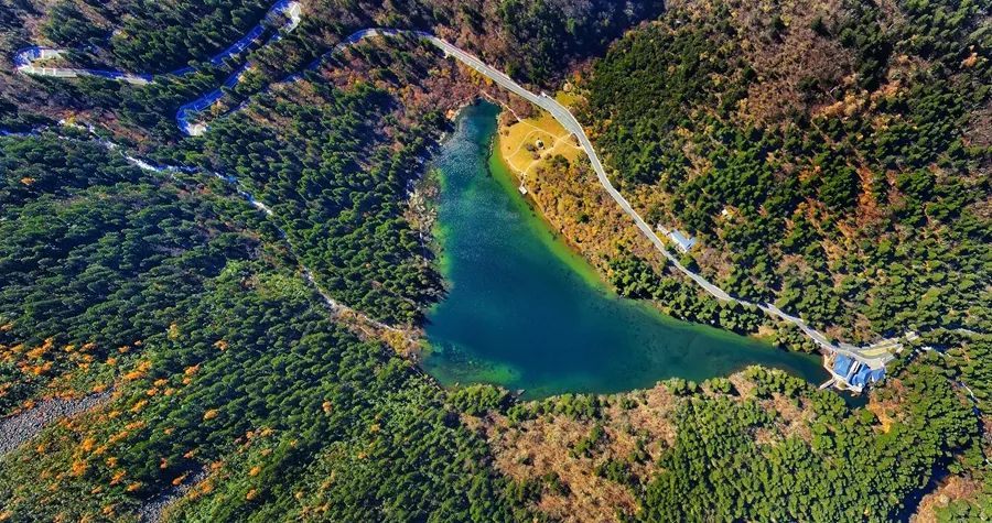 牛彩网数据汇总，毒胆一棵松的核心思路解析